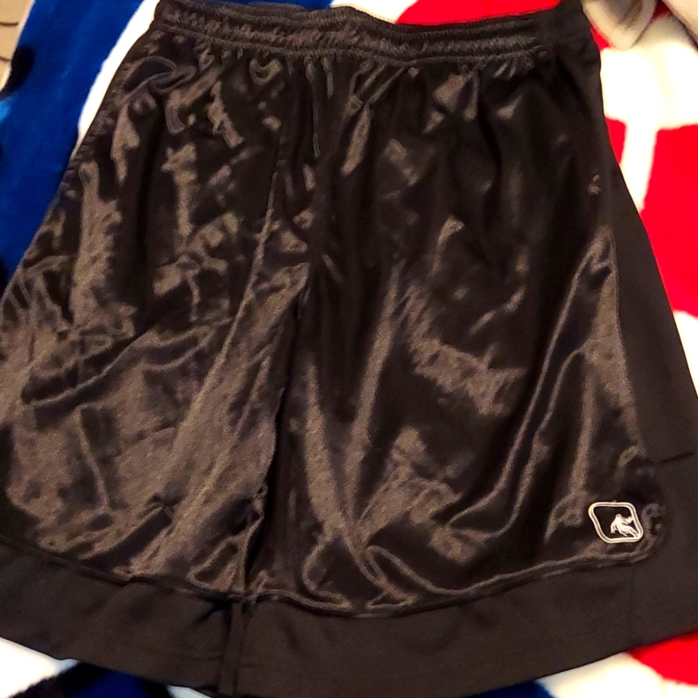 And1 Dazzle shorts